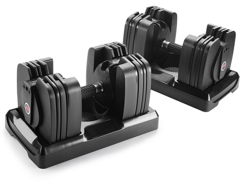 Bowflex SelectTech 560 Dumbbells