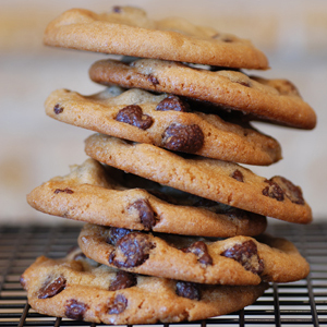 Chocolate Chip Oatmeal Protein Cookies