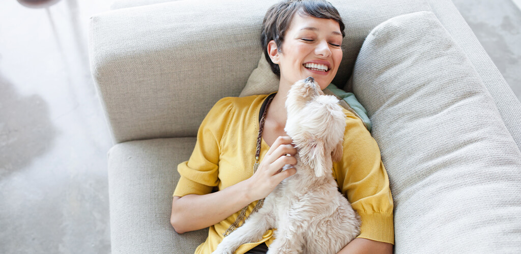 A person petting a dog.