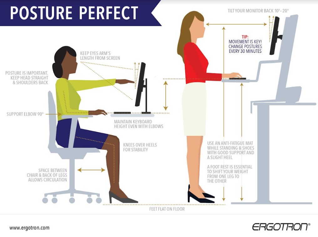 Posture Perfect Infographic