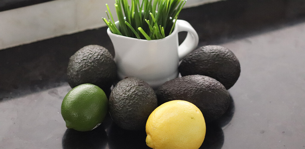 Guacamole Ingredients