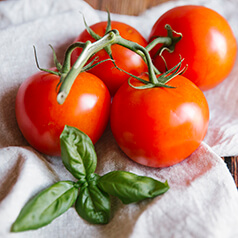 Tomatoes and basil leaves