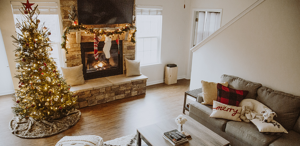 dog sleeping on couch next to a Christmas tree